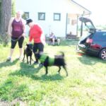 uusia ja vanhoja tuttuja